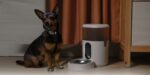 SMART HOME PET FEEDER C1/PETC1-M01 AQARA - Image 4